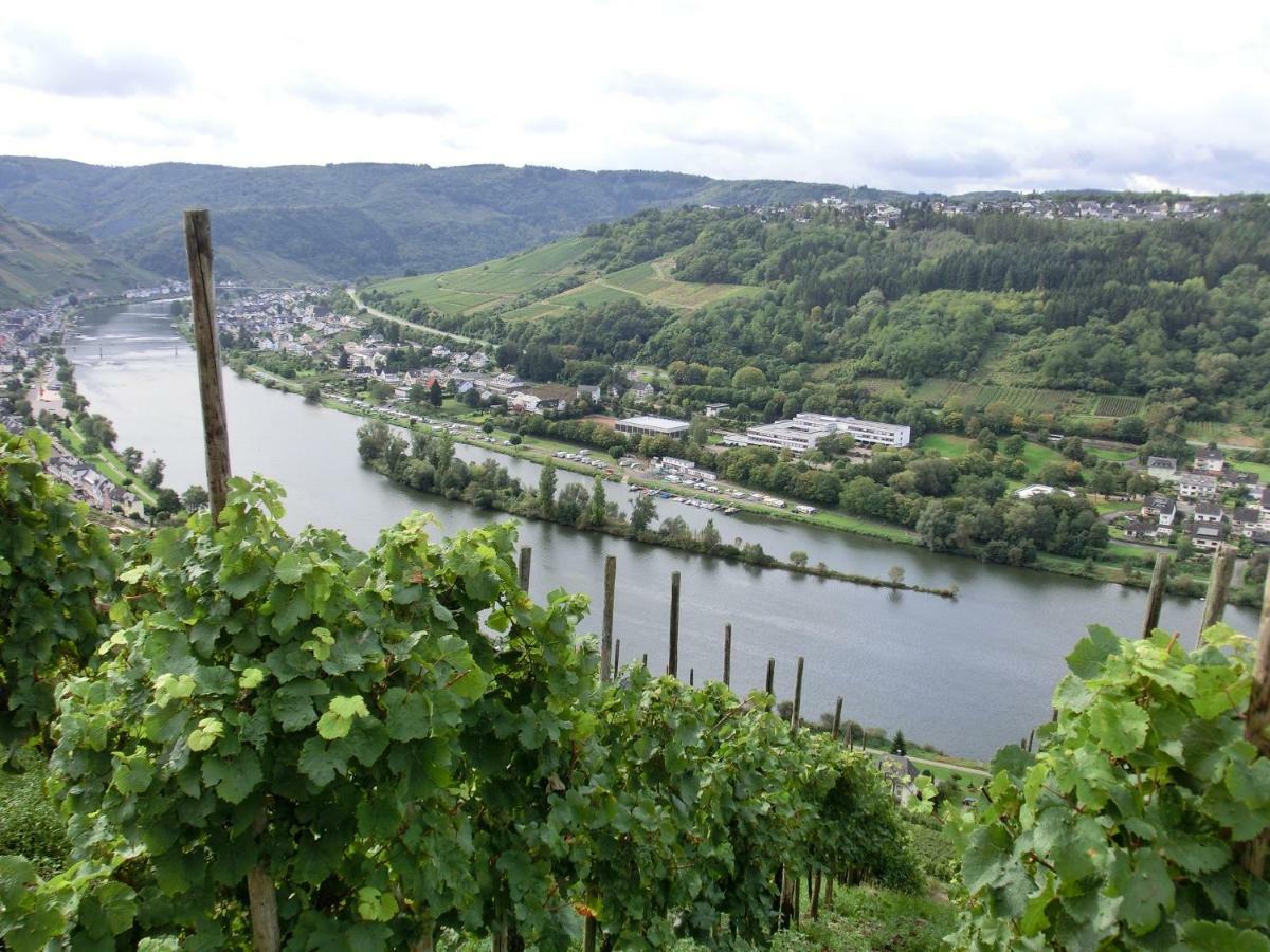 Beim Winzer Διαμέρισμα Zell an der Mosel Εξωτερικό φωτογραφία